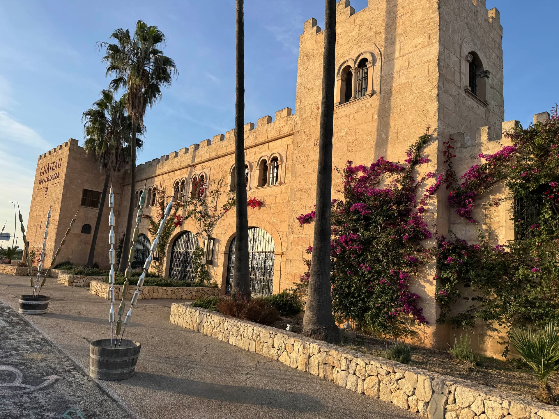 Eigener Weinberg - Bereich mitte