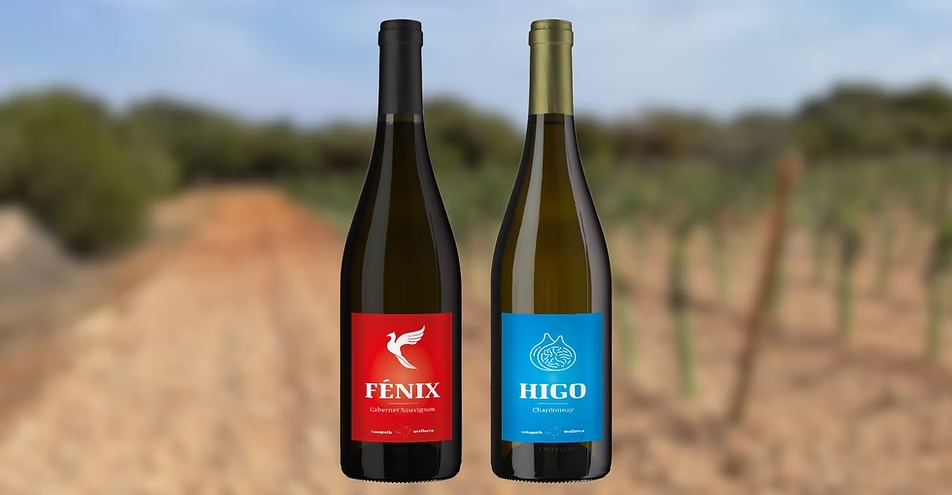 Casa Path - Die Weine