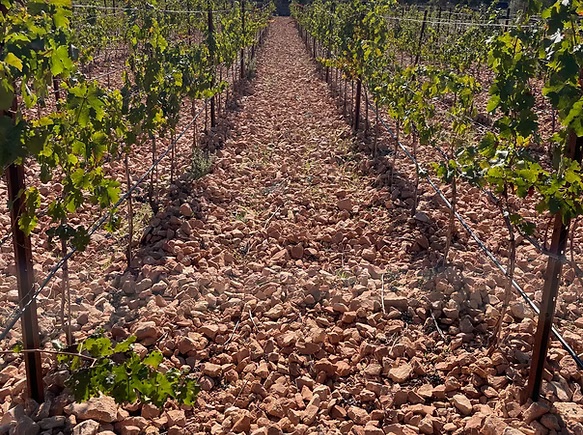 Casa Path - Besonderes