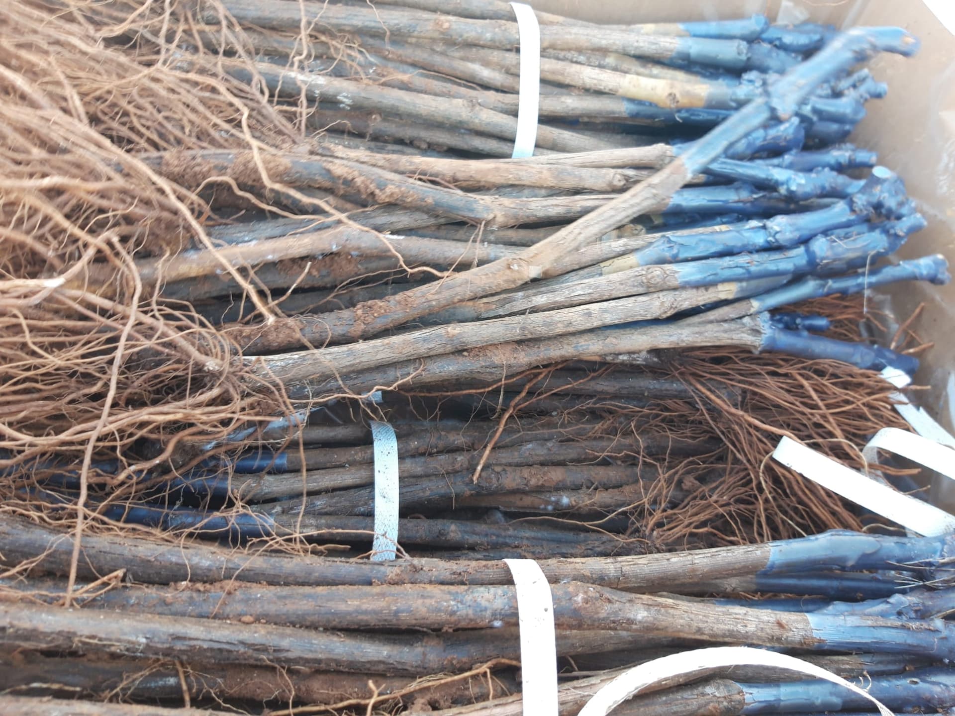 Marcus & Moritz - Bild 3